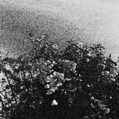 Celestial Sword : Edënohhdlha hálgra tu majtranlh'ha - Ga nëcëcta mon idlhi Celestial Sword : Edënohhdlha hálgra tu majtranlh'ha - Ga nëcëcta mon idlhi